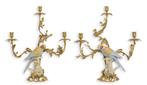 Set van 2 bronzen kandelaren met porseleinen papegaaien