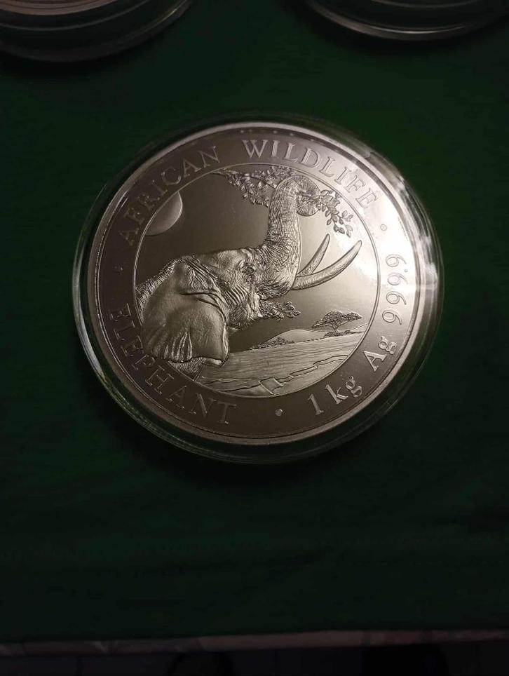 Zilveren Kilomunt African Wildlife Elephant 2023, Postzegels en Munten, Edelmetalen en Baren, Zilver, Ophalen of Verzenden