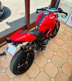 Ducati Monster 796 ABS A2 35 kW - Full Power - Quickshifter, Motoren, Motoren | Ducati, 2 cilinders, Quickshifter, Particulier