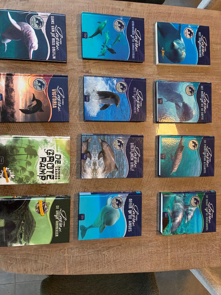 Boeken Patrick Lagrou, Boeken, Fictie algemeen, Patrick Lagrou, Ophalen, Gelezen