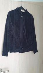 Fluweel trui met rits maat 40, Kleding | Dames, Truien en Vesten, Ophalen of Verzenden, Zo goed als nieuw, Maat 38/40 (M), Zwart