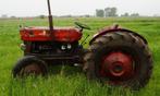 Oldtimer tractor Massey Feguson 135, Articles professionnels, Agriculture | Tracteurs, Utilisé, Enlèvement ou Envoi, Massey Ferguson