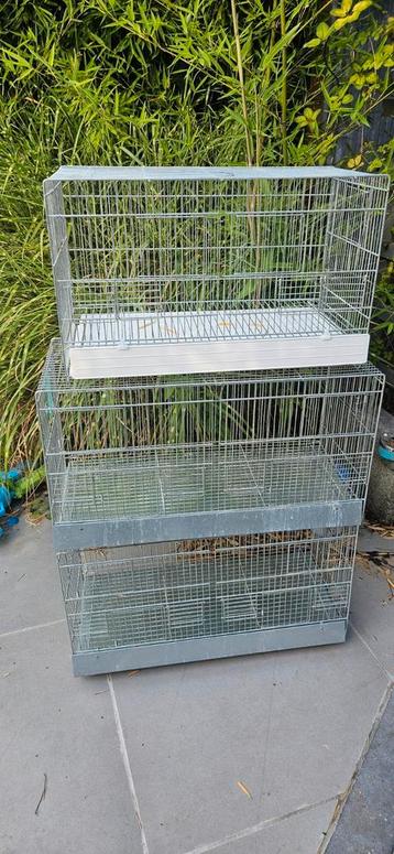 Lot cage beschikbaar voor biedingen