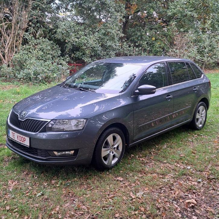 Skoda Rapid: 74.000 km + veel opties+garantie+groot nazicht!, Auto's, Skoda, Bedrijf, Te koop, Rapid, ABS, Airbags, Airconditioning