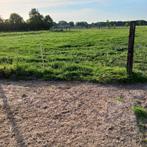 Weide met schutstal, Weidegang, 1 paard of pony