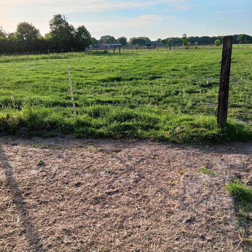 Weide met schutstal, Dieren en Toebehoren, Stalling en Weidegang, Stalling, Weidegang, 1 paard of pony