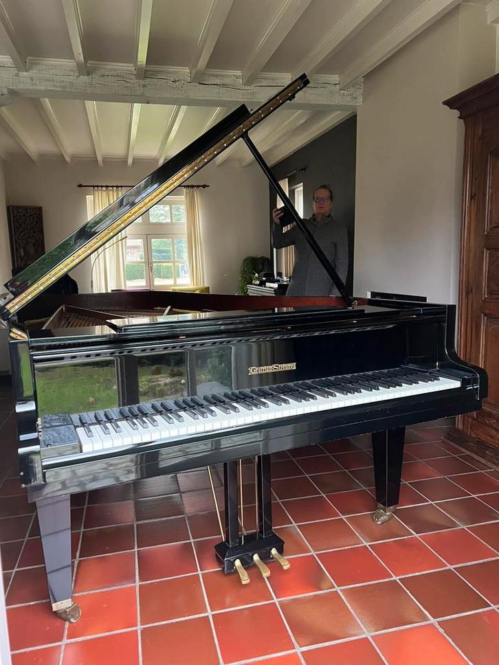 Vleugelpiano, Musique & Instruments, Pianos, Utilisé, À queue, Noir, Brillant, Enlèvement