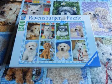 nr.73 - Puzzel: puppies - 1500 stukjes beschikbaar voor biedingen
