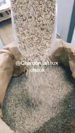 Chardon laiteux chouk pour chardonneret, Animaux & Accessoires, Oiseaux | Canaris