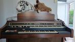 Orgel hammond, Muziek en Instrumenten, Orgels, Ophalen, Gebruikt, 3 klavieren, Orgel