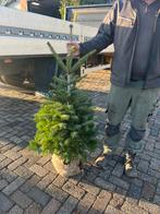 Kleine kerstbomen te koop, Ophalen