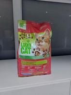 Lucky cat 2kg, Ophalen of Verzenden