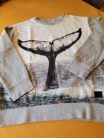 sweater molo 10 jaar, Molo, Trui of Vest, Ophalen of Verzenden, Zo goed als nieuw