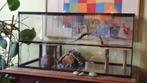 Gerbilarium, Dieren en Toebehoren, Ophalen, Zo goed als nieuw, Kooi, Hamster