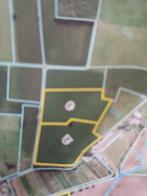 Landbouwgrond te koop, Peer, Ventes sans courtier