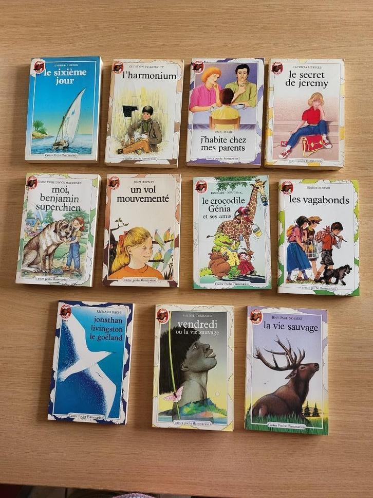 lot de divers livres Castor Poche, Boeken, Kinderboeken | Jeugd | 10 tot 12 jaar, Gelezen, Fictie, Ophalen of Verzenden
