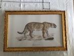 Cadre décoratif "Jaguar", Ophalen, Nieuw, Hout