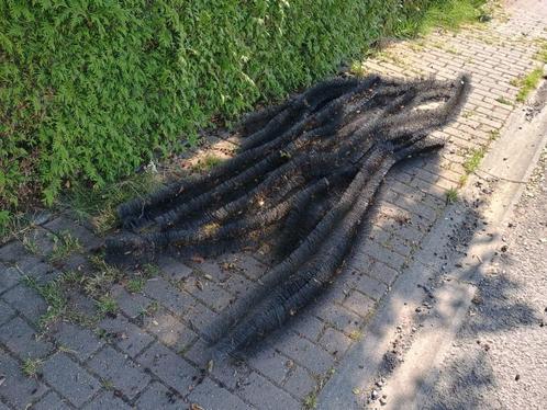 Dakgoot egels Dakgootborstel gratis, Doe-het-zelf en Bouw, Buizen en Afvoer, Gebruikt, Dakgoot, Overige materialen, 2 tot 4 meter