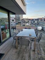 terrastafel, Enlèvement, Utilisé, Rectangulaire, Inox