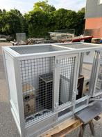 Kweekkooien, Dieren en Toebehoren, Vogels | Parkieten en Papegaaien