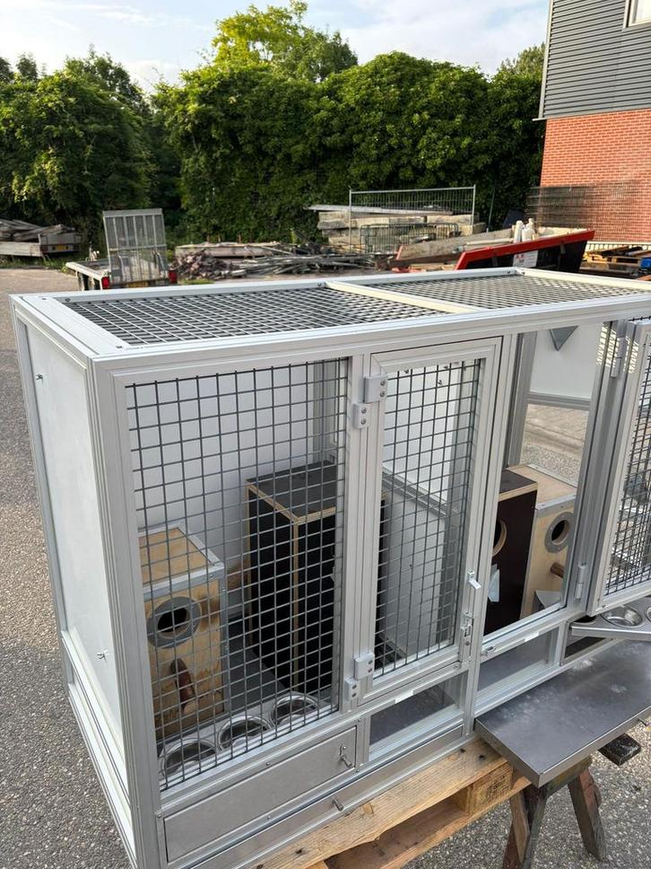 Kweekkooien, Dieren en Toebehoren, Vogels | Parkieten en Papegaaien