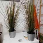 plantes artificielles Ikea Fejka, avec cache pot, Huis en Inrichting, Woonaccessoires | Kunstplanten en Kunstbloemen, Gebruikt