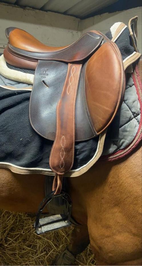 Selle Antares, Animaux & Accessoires, Chevaux & Poneys | Selles, Comme neuf