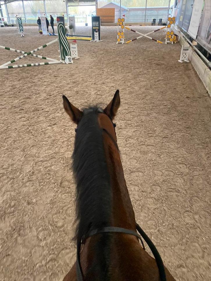 Opzoel PAARDENCAMIONETTE RIJBEWIJS B, Dieren en Toebehoren, Paarden en Pony's | Verzorgingsproducten, Zo goed als nieuw, Ophalen of Verzenden