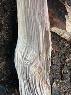 Brandhout 45cm gezaagd hardhout, Doe-het-zelf en Bouw, Ophalen, Zo goed als nieuw