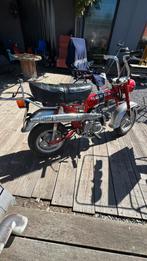 Honda dax, Particulier