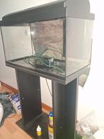 Aquarium 55L en bon état avec meuble et accessoires, Enlèvement