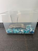 Gratis - Aquarium voor vis of schildpad, Ophalen, Gebruikt