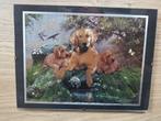 Kader golden retriever NIEUW, Ophalen, Nieuw, Wanddecoratie