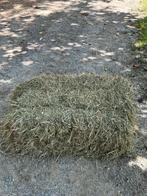 À vendre 1000 petits ballots de foin, Articles professionnels, Enlèvement