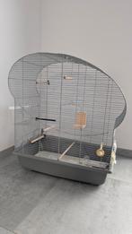 Vogelkooi, Ophalen, Gebruikt, Metaal, Vogelkooi
