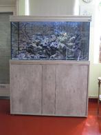 Topaquarium, Animaux & Accessoires, Poissons | Aquariums & Accessoires, Enlèvement, Comme neuf, Aquarium d'eau douce rempli