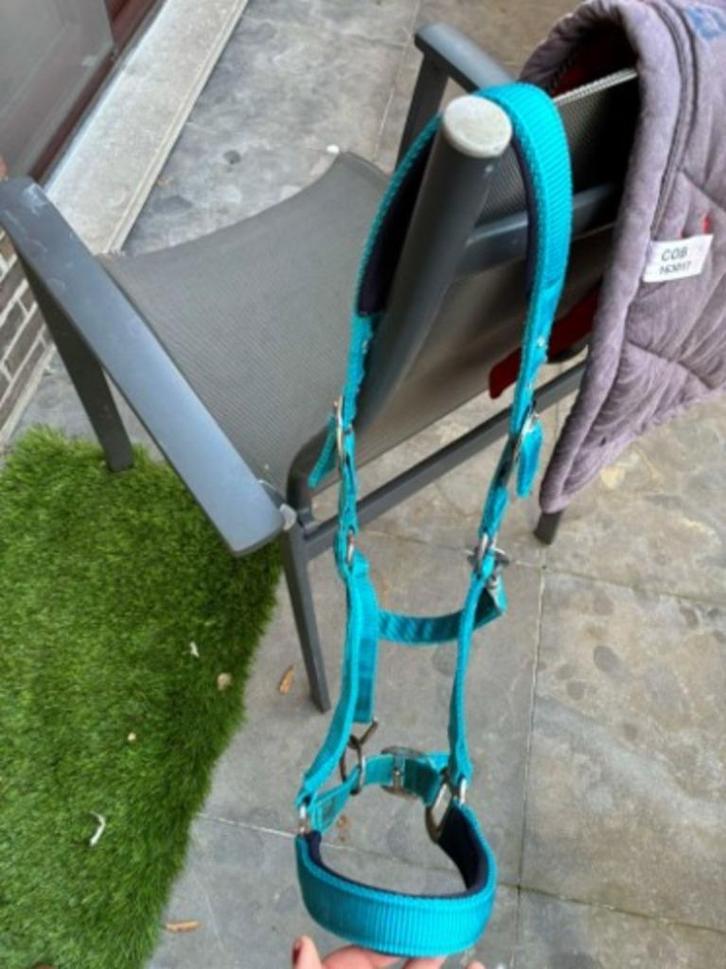 Halsters, Dieren en Toebehoren, Paarden en Pony's | Hoofdstellen en Tuigage, Ophalen of Verzenden