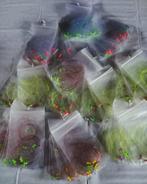 Na veel vraag weer wat dwarrellijntjes gemaakt ., Sports nautiques & Bateaux, Pêche à la ligne | Pêche en mer, Enlèvement ou Envoi