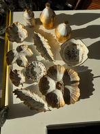 Verzameling Limoges porselein met 22 karaat goud, Ophalen