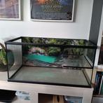 Terrarium (waterschildpad) + toebehoren, Ophalen, Zo goed als nieuw, Terrarium of Paludarium