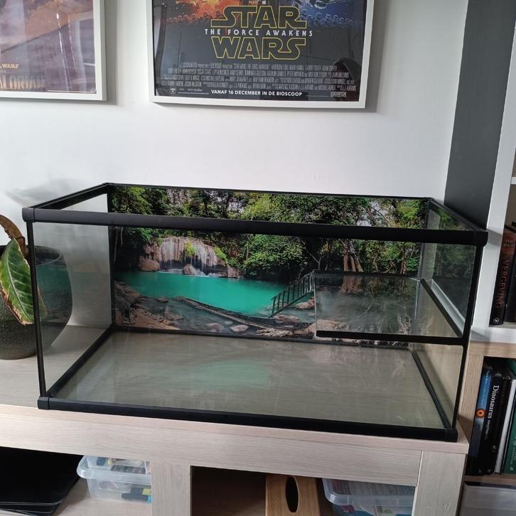 Terrarium (waterschildpad) + toebehoren, Dieren en Toebehoren, Reptielen en Amfibieën | Toebehoren, Zo goed als nieuw, Terrarium of Paludarium