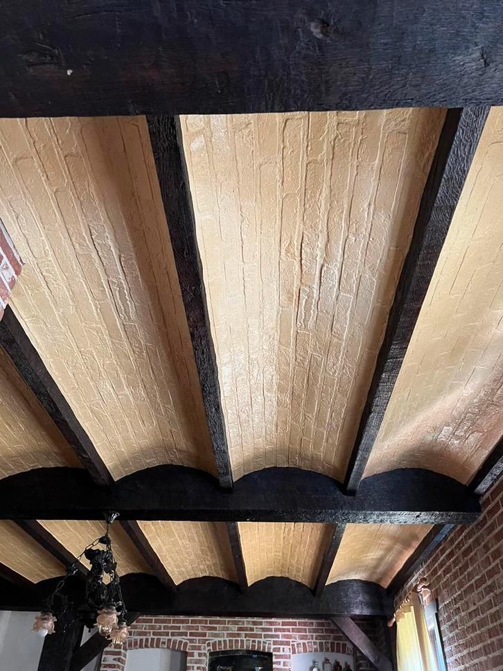 Vals plafond wijnkelder, Maison & Meubles, Maison & Meubles | Autre, Enlèvement