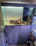 Aquarium ciano pro 100 avec meuble