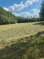 Hooi, Zakelijke goederen, Landbouw | Veevoer, Ophalen