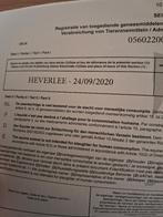 Ruin te koop, Dieren en Toebehoren, Ruin, Onbeleerd