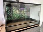 Terrarium, Dieren en Toebehoren, Ophalen, Gebruikt, Terrarium of Paludarium