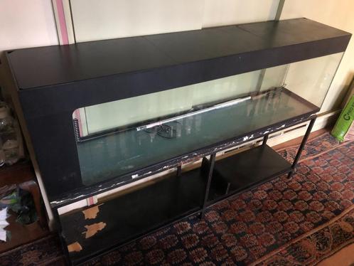 Terrarium, Dieren en Toebehoren, Reptielen en Amfibieën | Toebehoren, Gebruikt, Terrarium of Paludarium, Ophalen