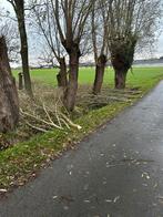 Hout om te hakselen, Ophalen, Overige houtsoorten, Takken