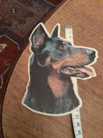 beauceron sticker hond nieuw, Ophalen of Verzenden, Nieuw, Honden