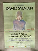 Poster David Sylvian in Koninklijk Circus 2003, Comme neuf, Enlèvement ou Envoi